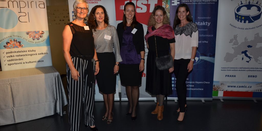 Business Woman: Networking for Professional Ladies – WELL BEING