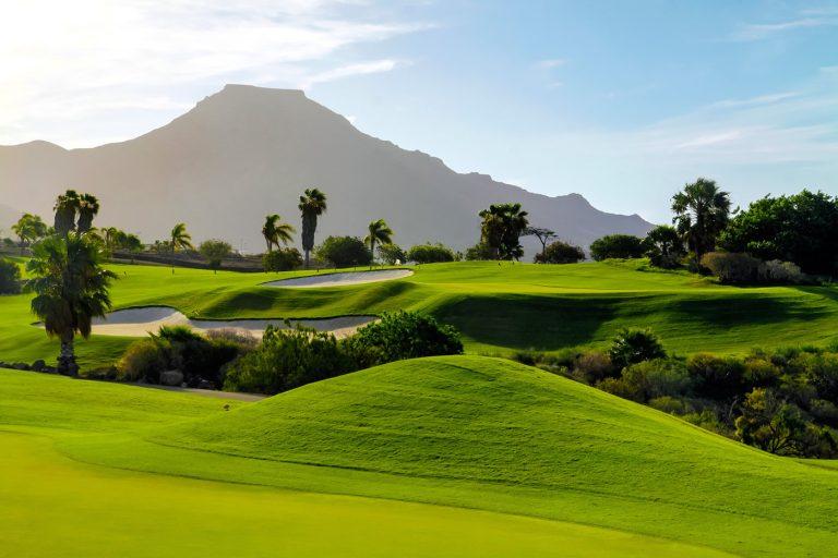 European Business Drink & Networking CEST, Tenerife