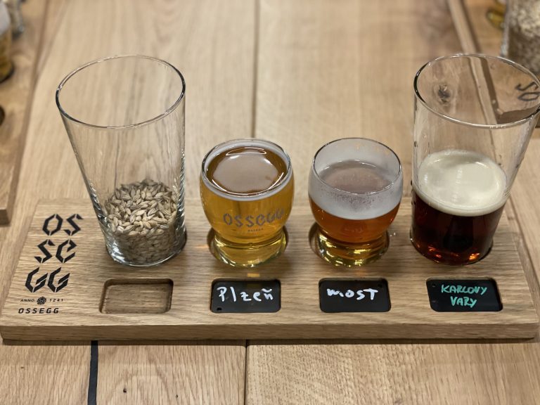 České setkání v OSSEGG Madrid