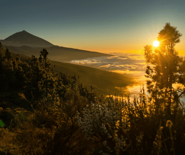 Seminář: Investiční příležitosti v nových developerských projektech na Tenerife