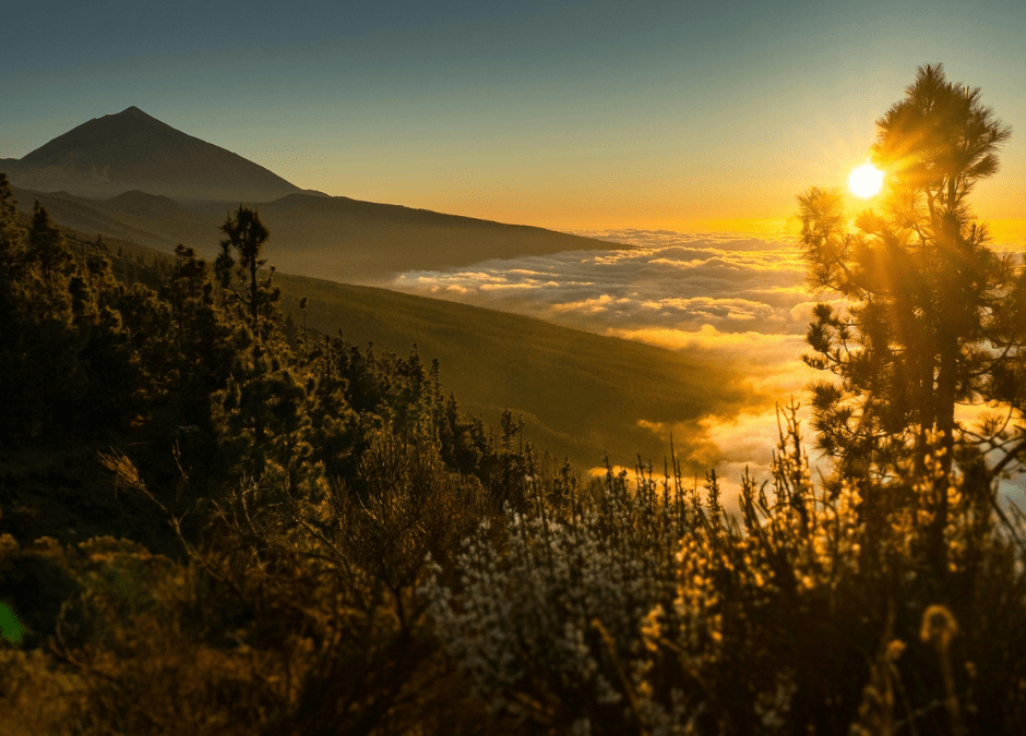 Seminář: Investiční příležitosti v nových developerských projektech na Tenerife